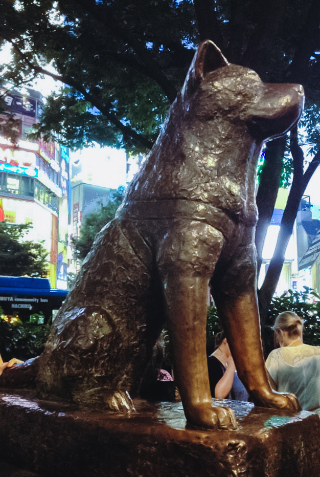 Hachiko statue in Shibuya, 2014. To cross or not to cross - is halloween in shibuya worth it?