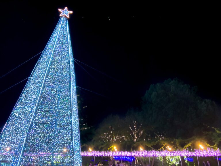 Illuminated tree at Ashikaga Flower park