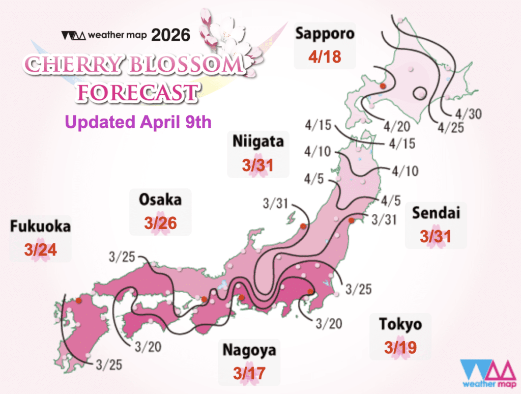 Sakura blooming forecast as of 4/11/2026