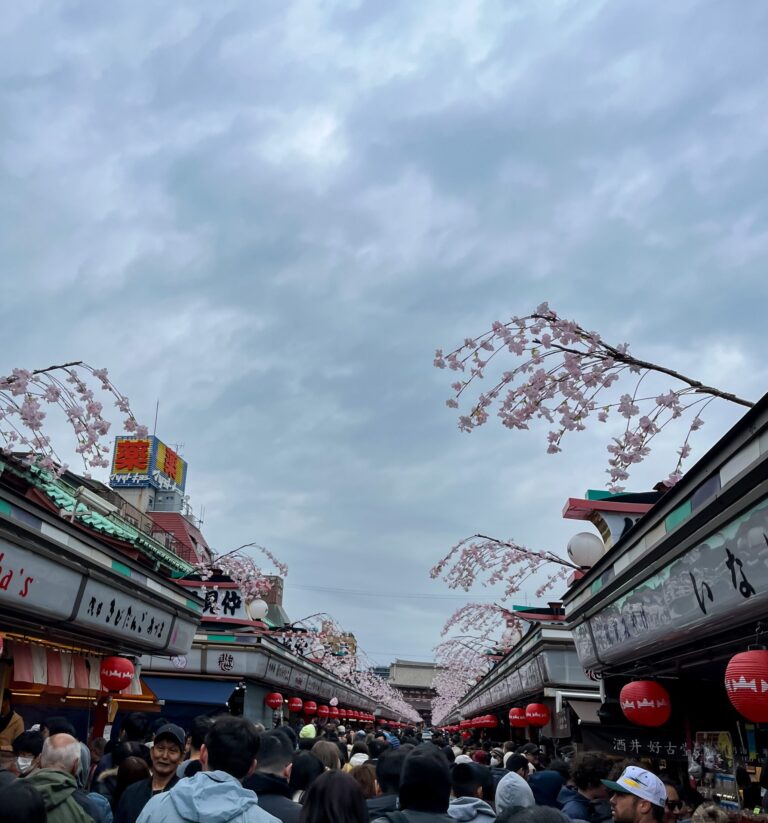 Asakusa Nakamise shop street