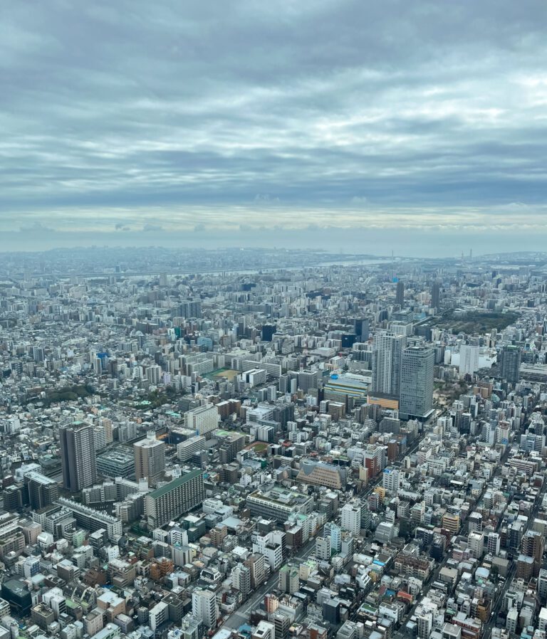 The view from Asakusa Skytree. View of tokyo