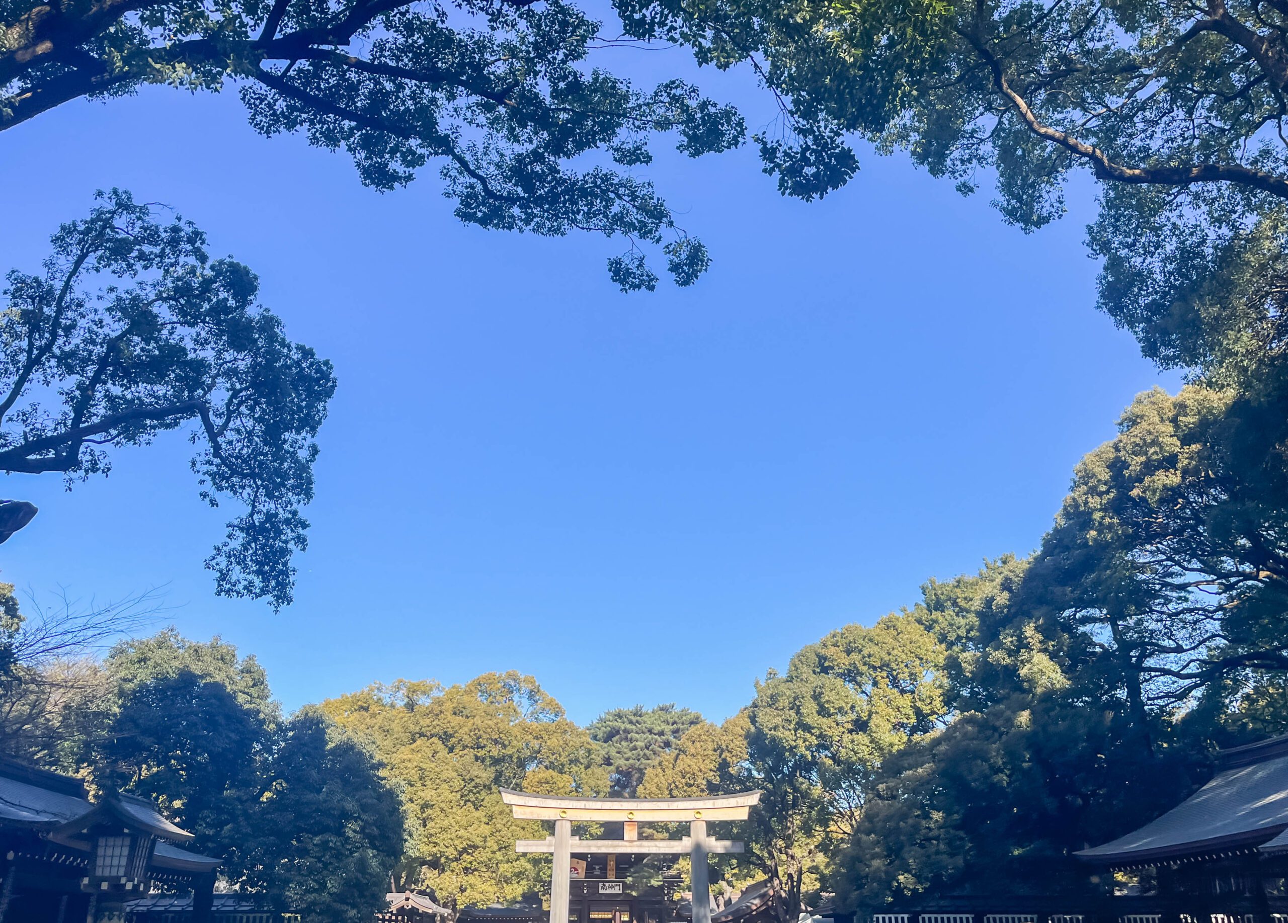 How to Apply for Permission to Engage in Activities Other than those Permitted as a Student or Dependent in Japan main image