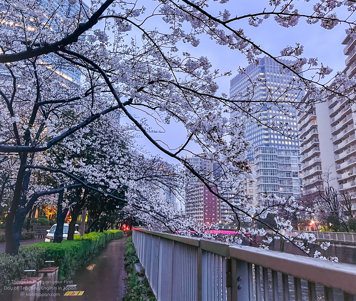 7 Things to bring on your first day as an English teacher in Japan amin image. Features sakura along a river bank