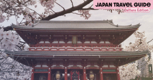 japan travel guide - culture edition featured image of sensoji superimposed over sakura