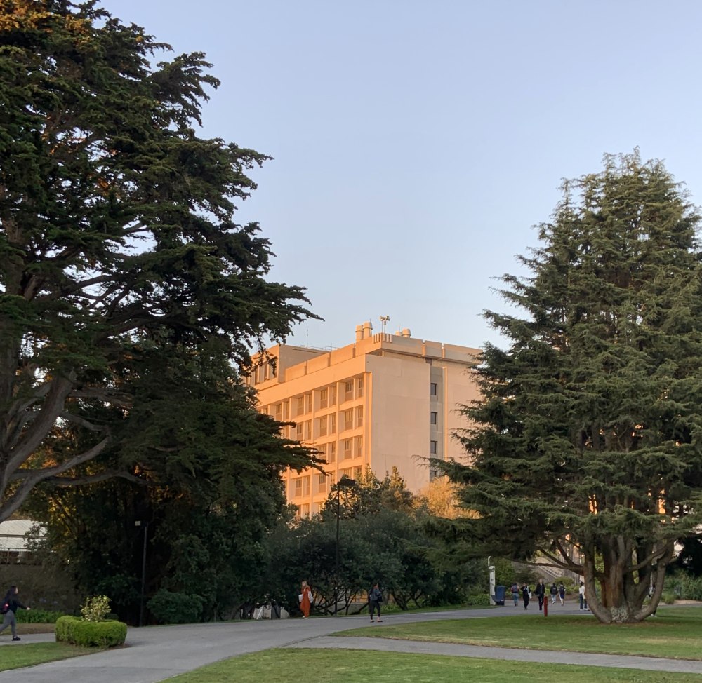 san francisco state university