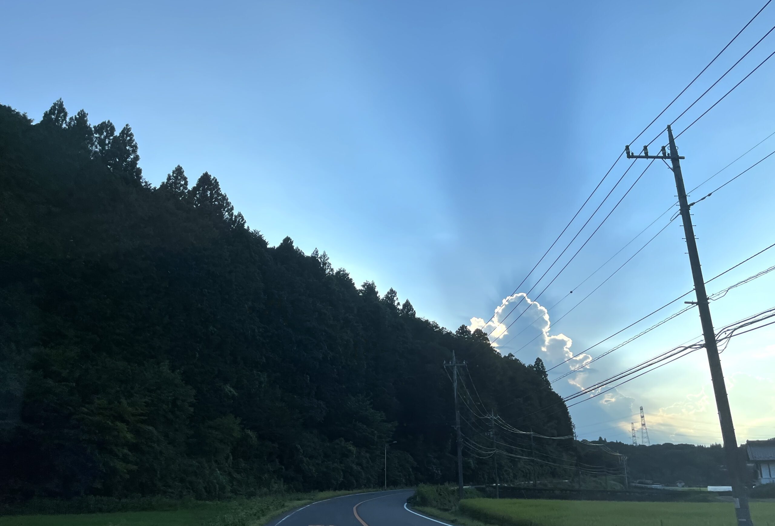 country road in the summer