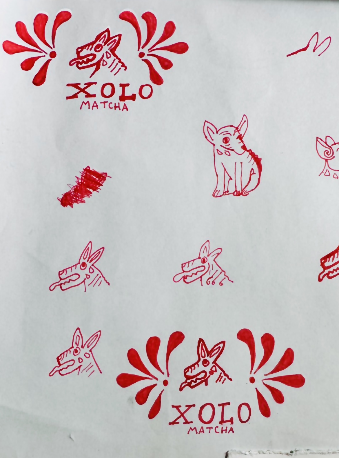 xolo tea sketches