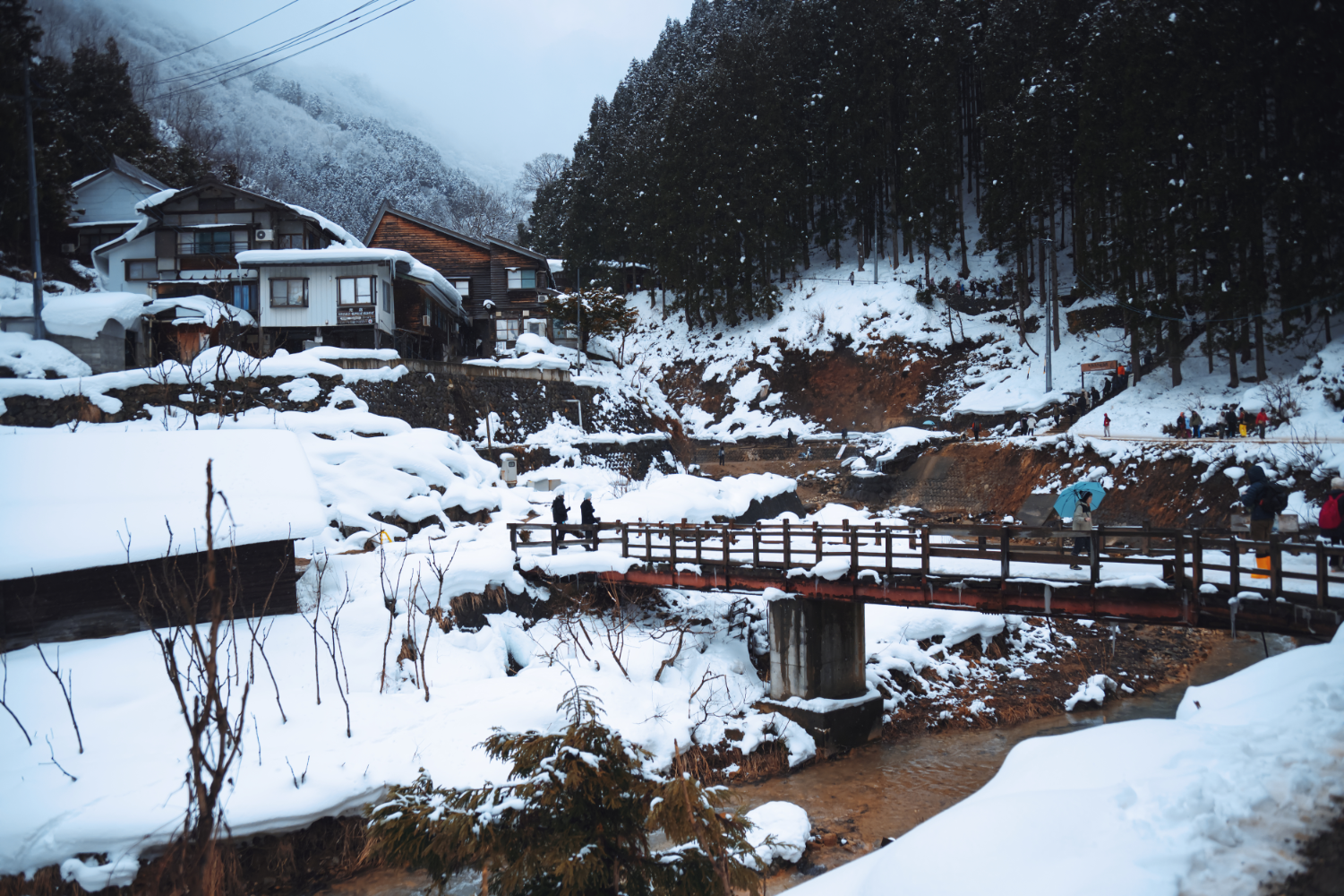 snowy mountain in nagano with monkeys