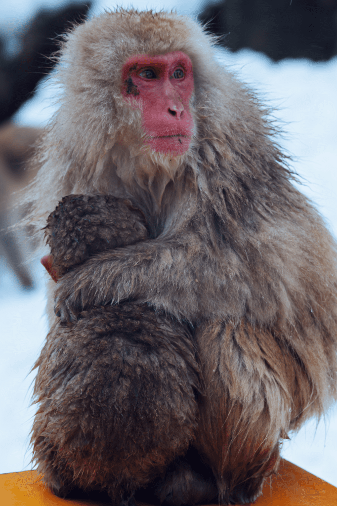 picture creds: ernesto alvarado